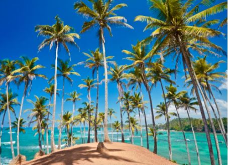 Mirissa beach in Sri Lanka secures a spot in Lonely Planets Top 100 beaches 2024