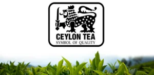 Ceylon Tea: Where the Brand Stands Now, and How It Got Here