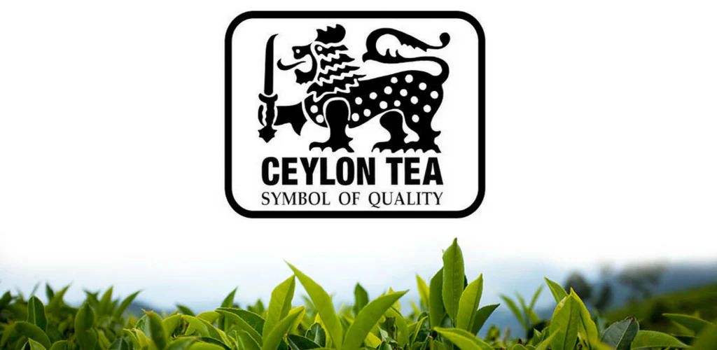 Ceylon Tea: Where the Brand Stands Now, and How It Got Here