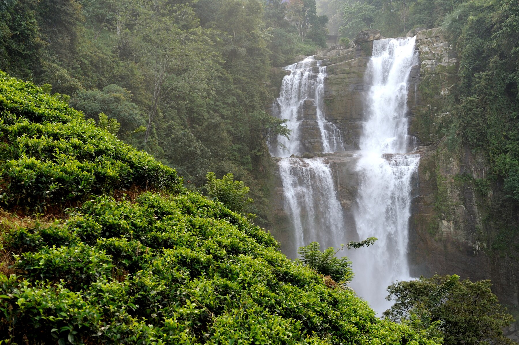 Sri Lanka Tourism expects 2024 to grow