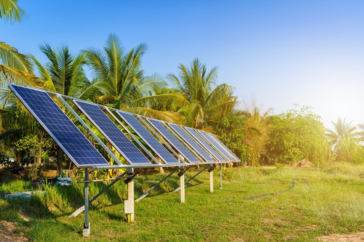 Powering the Future: How Solar Energy is Lighting Up Sri Lanka’s Green Transition