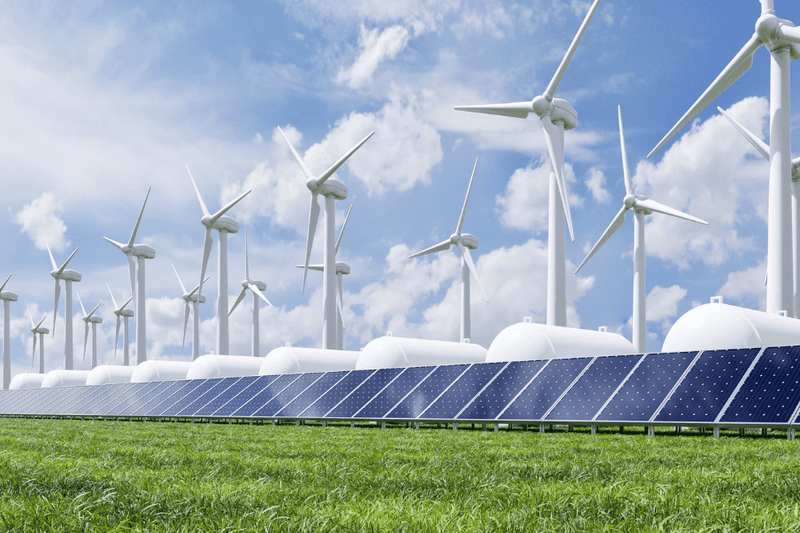 Sri Lanka’s Renewable Energy Sector at Crossroads: Tariff Cuts and the Urgent Need for Presidential Intervention Renewable Energy