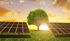 Sri Lanka’s Solar Revolution: Powering Growth, Security & Sustainability