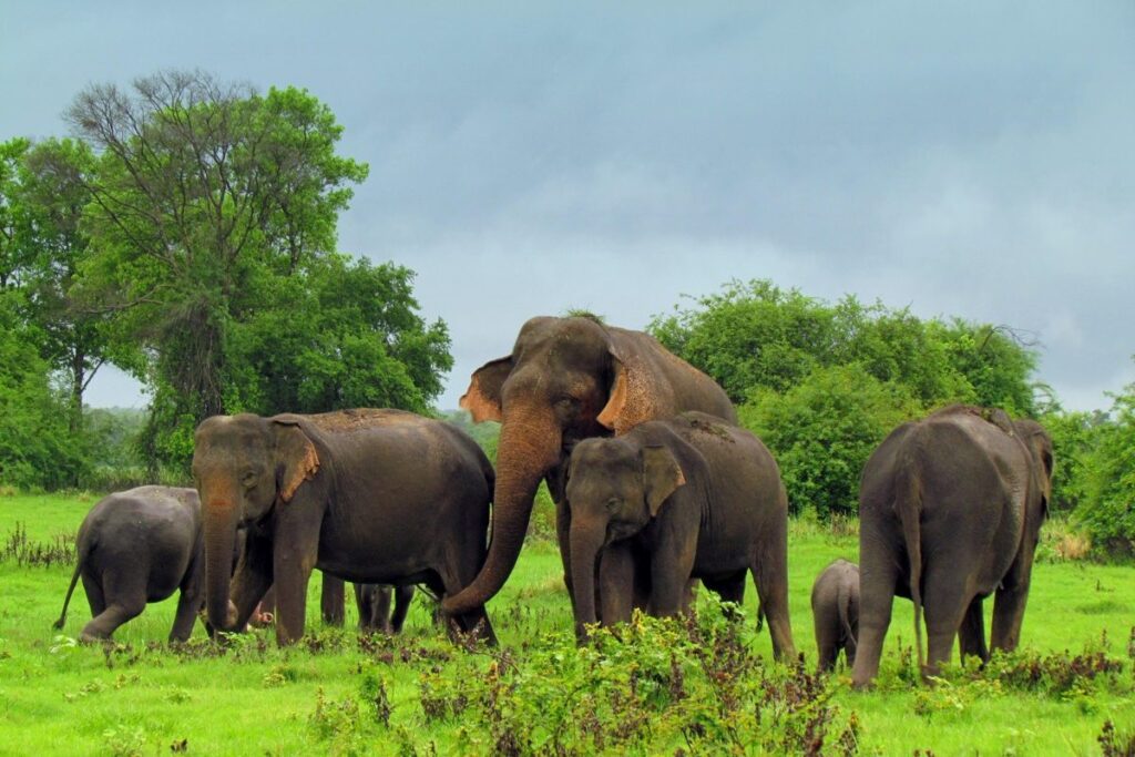 Sri Lanka Tops Time Out’s Global List for October 2025
