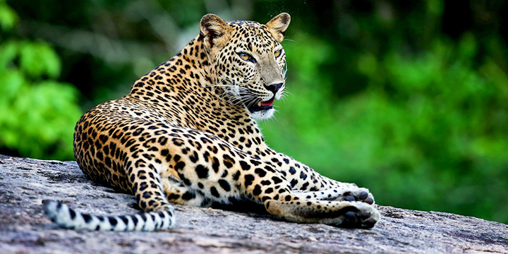 Sri Lanka Tops Time Out’s Global List for October 2025