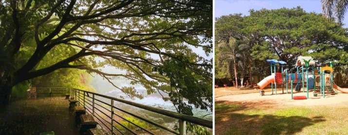 Sri Lanka’s Tourism Rise: Can Authentic Travel Unlock Business Growth?