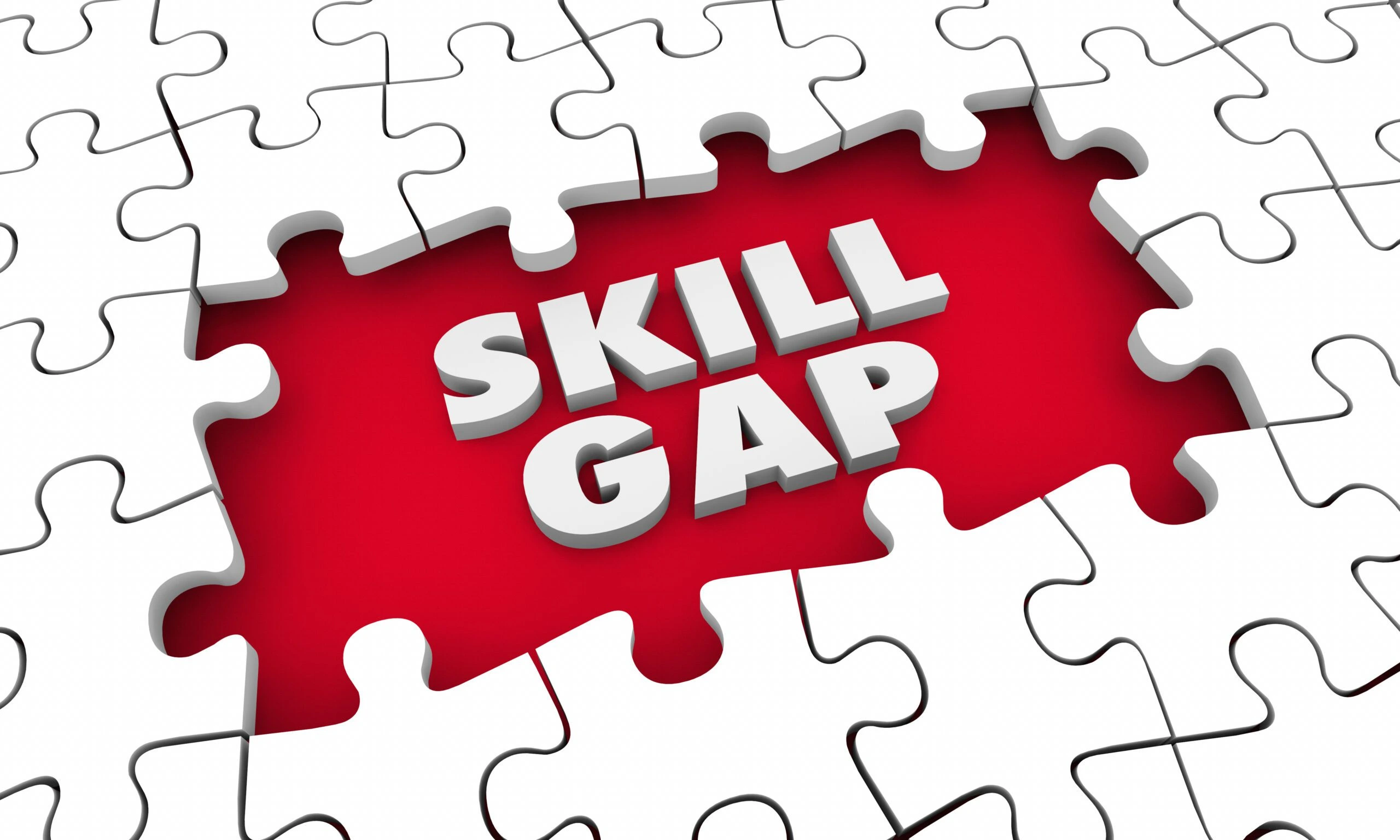 Sri Lanka’s Skills Gap: What Employers Need That Universities Still Don’t Teach