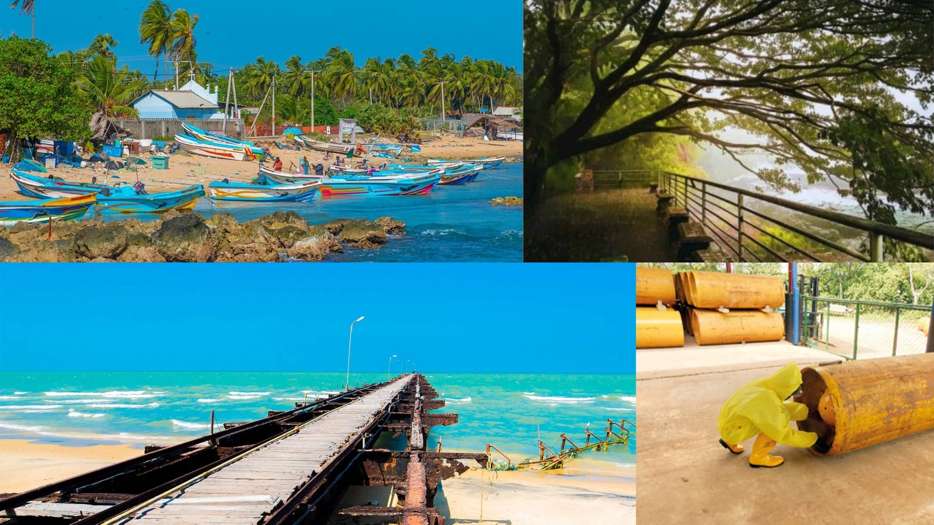 Unlocking the North: The Untapped Business Development Potential of Sri Lanka’s Northern Province
