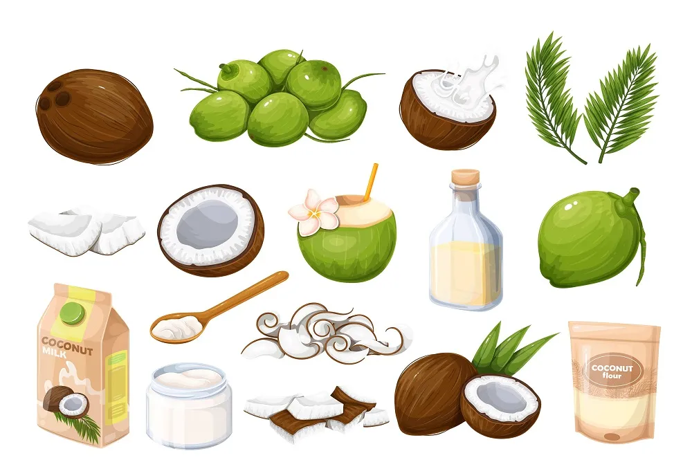 Sri Lanka's Coconut Sector Achieves Historic $1 Billion Export Milestone in 2025